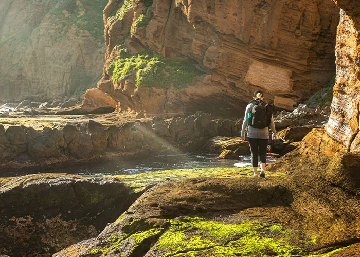 norfolk island national park