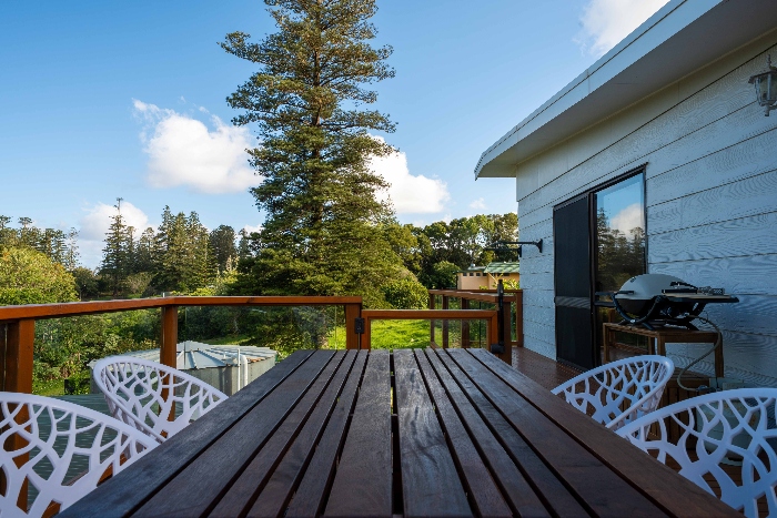 Weber bbq and pizza oven